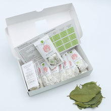 Load image into Gallery viewer, Blossom