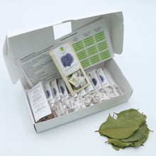 Load image into Gallery viewer, Celebration