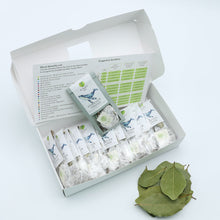 Load image into Gallery viewer, Forever Young