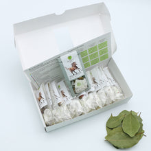 Load image into Gallery viewer, Fortress