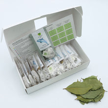 Load image into Gallery viewer, High Frequency