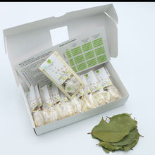 Load image into Gallery viewer, Immunity