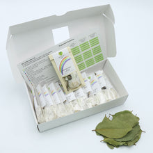 Load image into Gallery viewer, Memory Lane