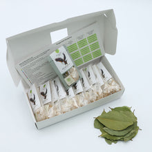 Load image into Gallery viewer, Rebirth