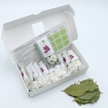 Load image into Gallery viewer, Revival