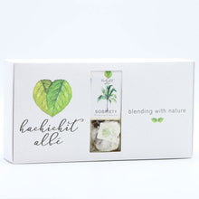 Load image into Gallery viewer, Sobriety