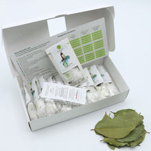 Load image into Gallery viewer, Svelte