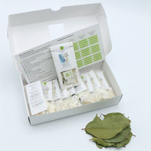 Load image into Gallery viewer, Sweet Wood