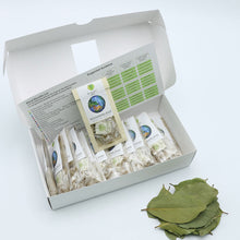 Load image into Gallery viewer, Wonderland