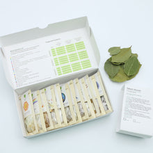 Load image into Gallery viewer, Family 2