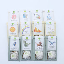 Load image into Gallery viewer, Metamorphosis 1