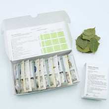 Load image into Gallery viewer, Metamorphosis 2