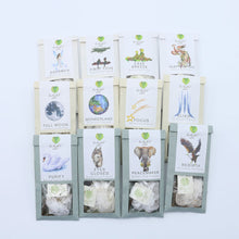 Load image into Gallery viewer, Metamorphosis 2