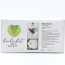 Load image into Gallery viewer, Metamorphosis 3