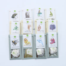 Load image into Gallery viewer, Metamorphosis 3