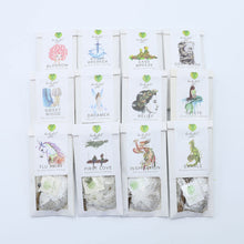 Load image into Gallery viewer, Family 3