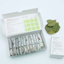 Load image into Gallery viewer, Family 1