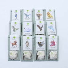 Load image into Gallery viewer, Family 1