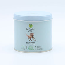 Load image into Gallery viewer, Fortress