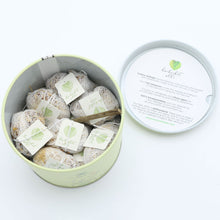 Load image into Gallery viewer, Immunity