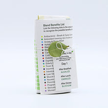 Load image into Gallery viewer, Fusion 1