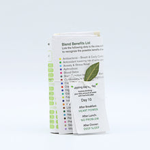 Load image into Gallery viewer, Fusion 10