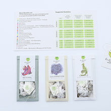 Load image into Gallery viewer, Fusion 12