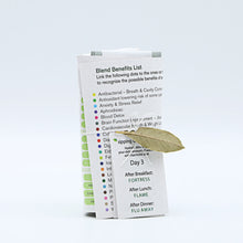 Load image into Gallery viewer, Fusion 3