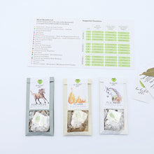 Load image into Gallery viewer, Fusion 3