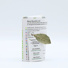 Load image into Gallery viewer, Fusion 4