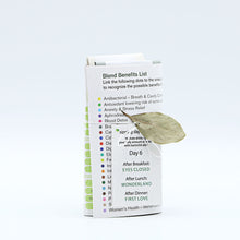 Load image into Gallery viewer, Fusion 6