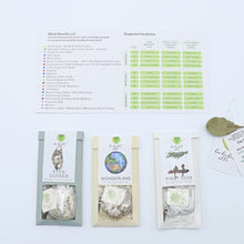 Load image into Gallery viewer, Fusion 6