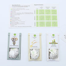 Load image into Gallery viewer, Fusion 7